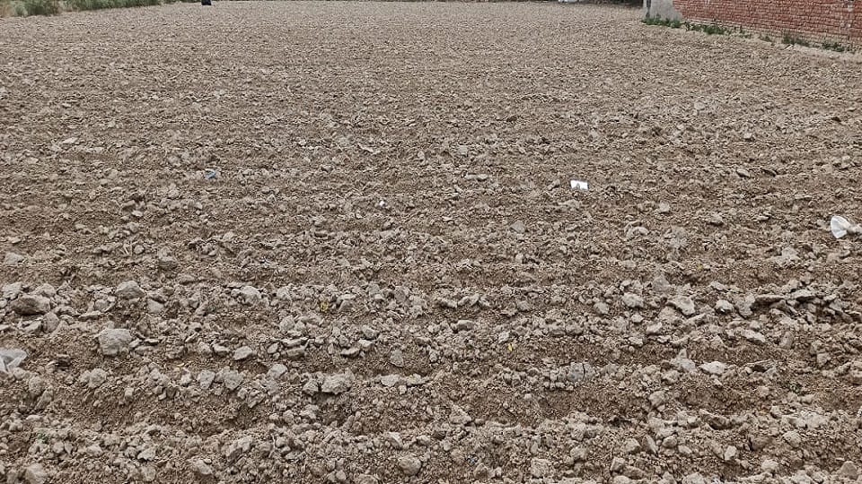 farmers should do deep plowing of their empty fields After harvesting the rabi crop
