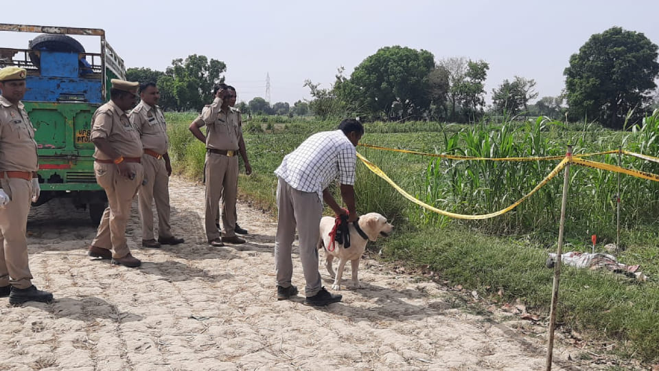 Dead body of a youth found on Dibiyapur-Paphund road, face was mutilated, body was covered with a sheet