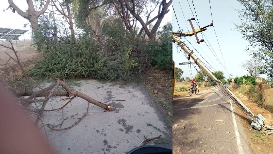 Life disrupted due to severe storm in Haryana, trees and electric poles broken, people face trouble