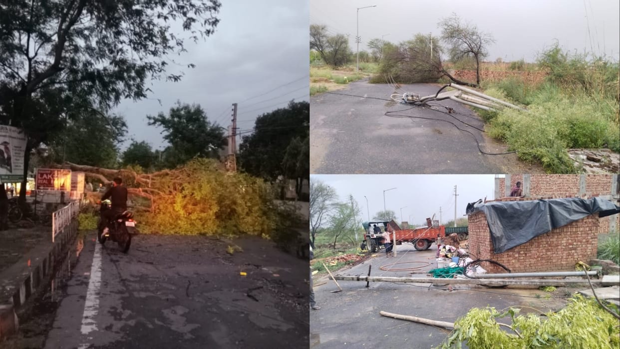 Due to the effect of Western Disturbance, rain and hailstorm in many districts of Haryana
