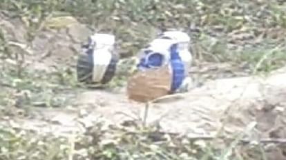 अंबाला में मिले चाइना मेड ग्रेनेड: पाकिस्तानी सेना कर रही इनका प्रयोग, सीरियल नंबर जम्मू कश्मीर में मिला China made grenade found in Ambala, Pakistan army using it, serial number found in Jammu and Kashmir