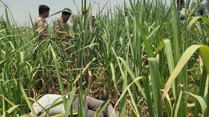 Baghpat News: टीकरी से लापता लेखपाल प्रवीण का सड़ा-गला शव जंगल में पड़ा मिला, हत्या की आशंका Baghpat: Decomposed body of Lekhpal Praveen missing from Tikri found lying in the forest