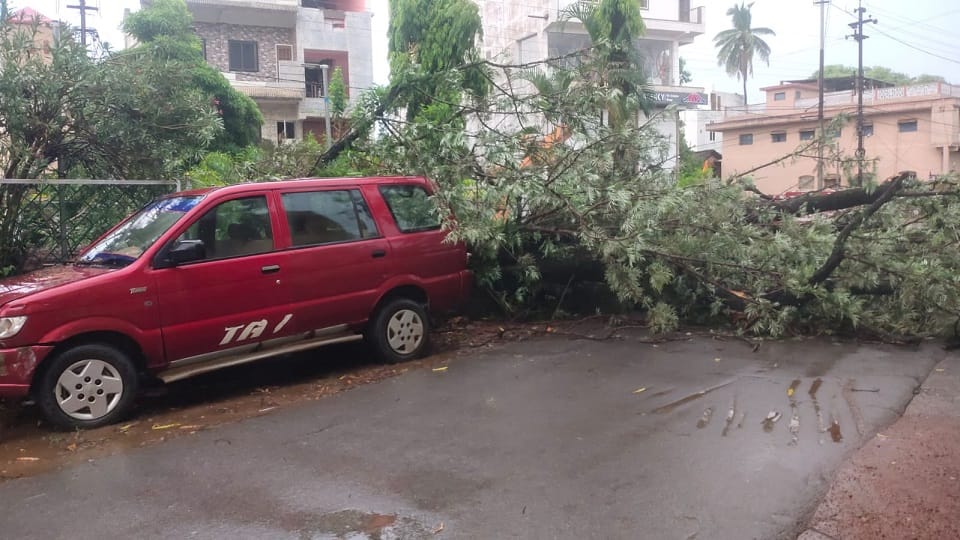 Weather Update Thunderstorm after unseasonal rains in Jagdalpur