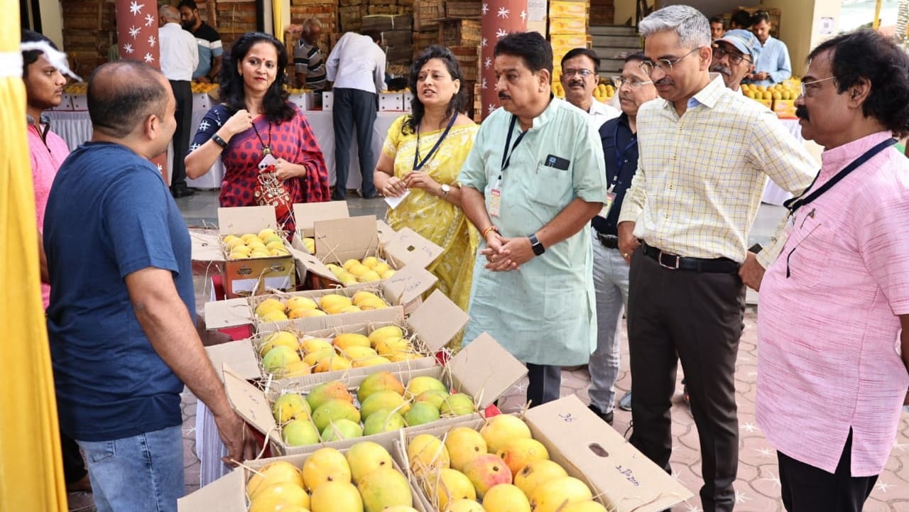 mango jatra indore hapus aam marathi dishes chat chopati mango varieties
