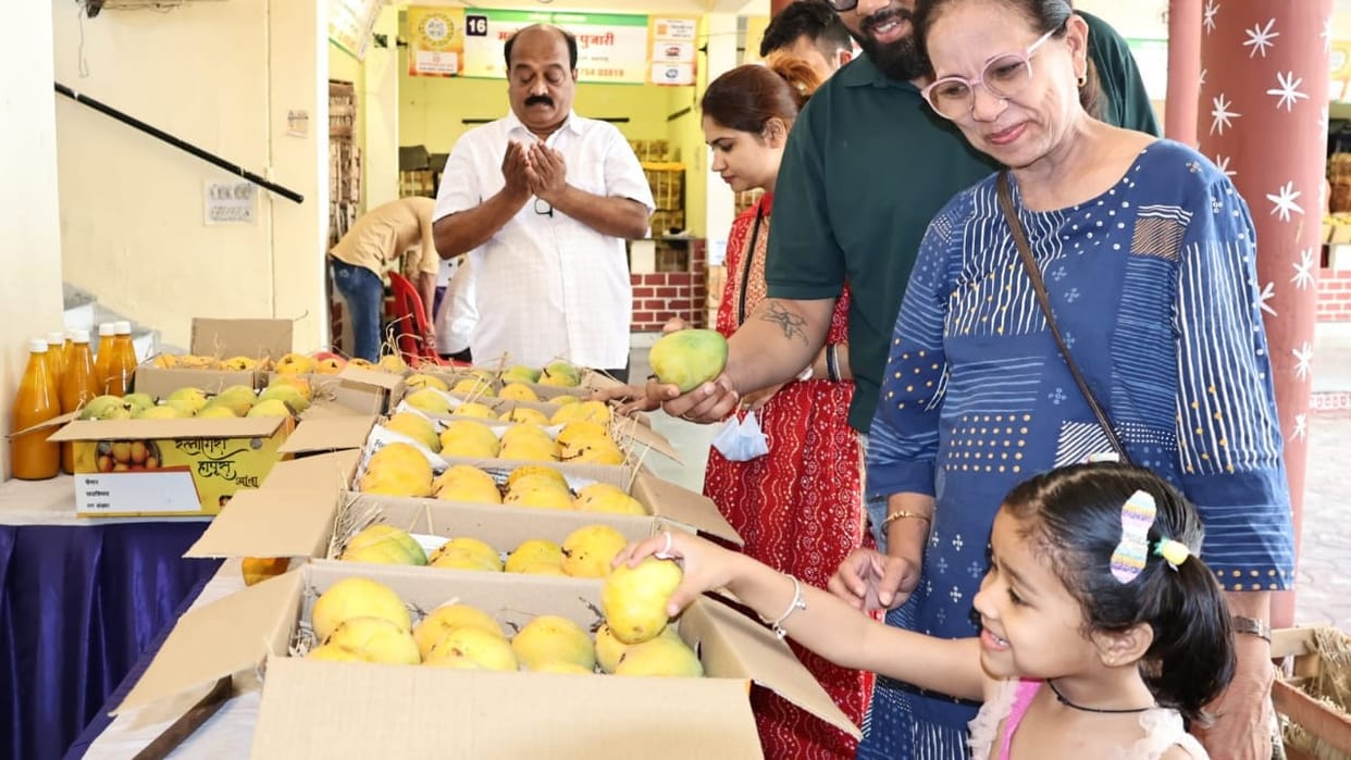 mango jatra indore hapus aam marathi dishes chat chopati mango varieties