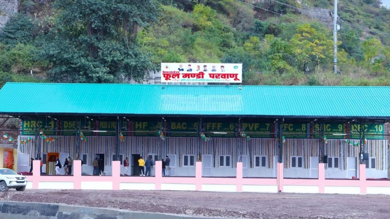 Onion will now be traded in the first closed flower market of Himachal