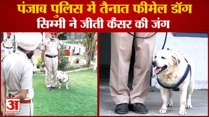 Punjab News:Female Dog Posted In Faridkot Police Won Battle Against Cancer