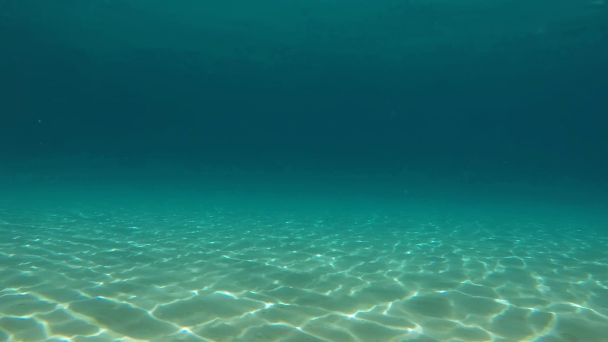 Mystery Anyone Can Die in the Middle of This Sea! Know What Is the Secret Behind It News in Hindi