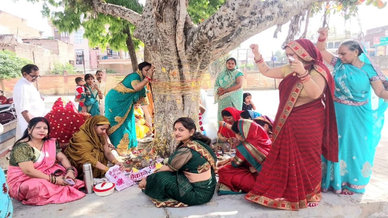 Married women worship Vat Savitri, keep fast for husband's longevity and good wishes
