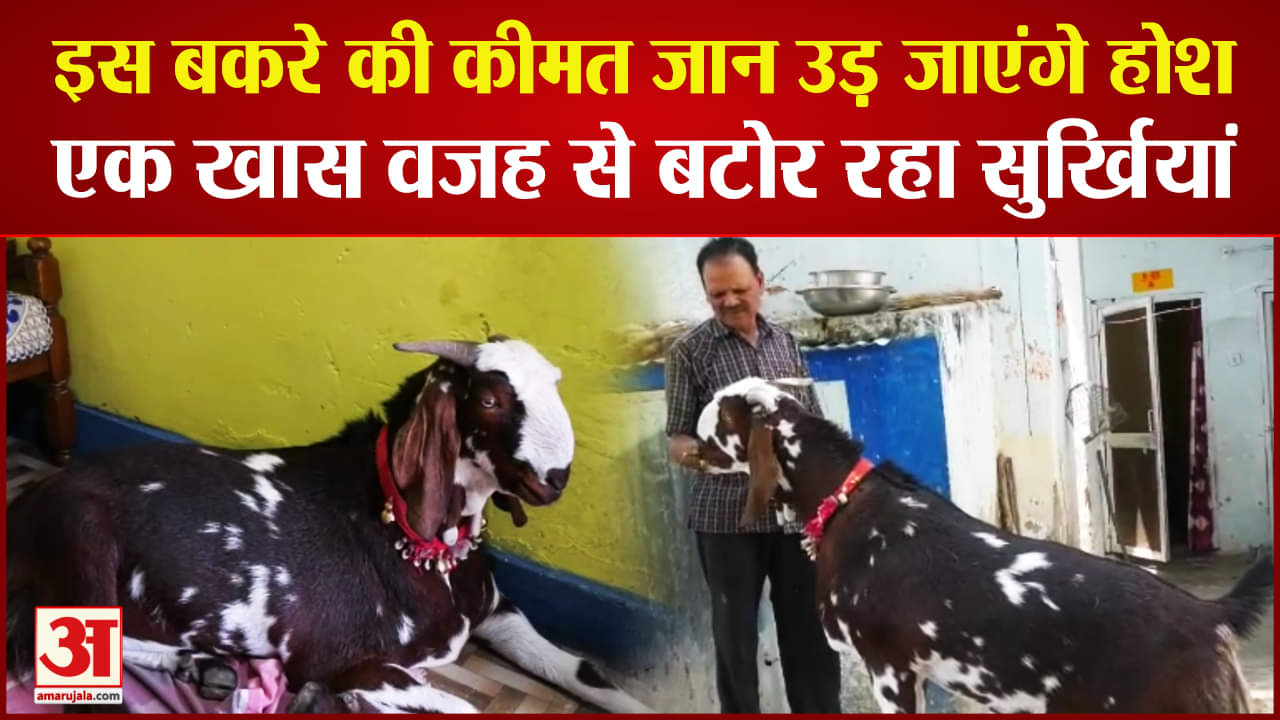 बकरा जिसकी कीमत एक करोड़ रखी गई है।