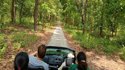 world tourism day Chuka Beach Tourist Place in Pilibhit Tiger Reserve