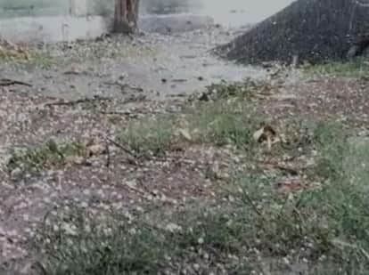 MP Madhya Pradesh Weather Update Today: Hail fell in Sehore, Indore got wet again