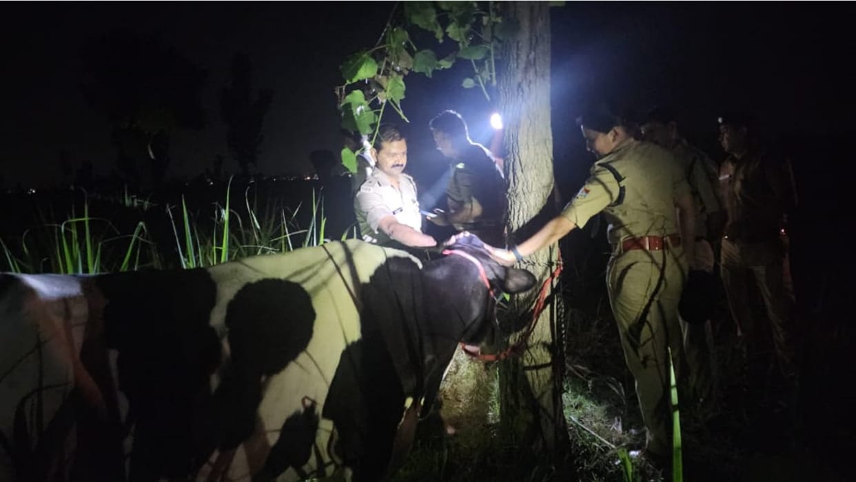 Haridwar Encounter between police and cow smugglers again one miscreant injured Uttarakhand news in hindi