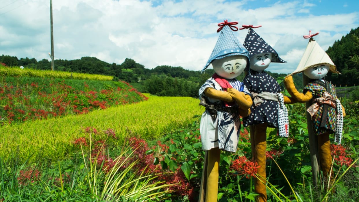 Mannequin Village Japan Interesting and Knowledge Facts in Hindi