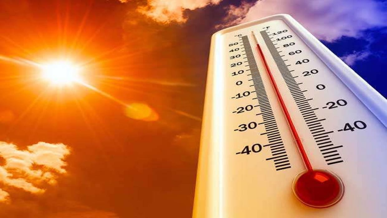 Last Week Was The Hottest On Record For Planet: World Meteorological Organization