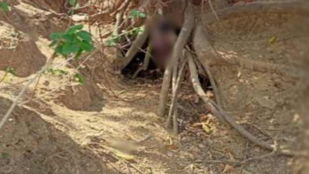 mother committed suicide by hanging after killing five days old son in jashpur