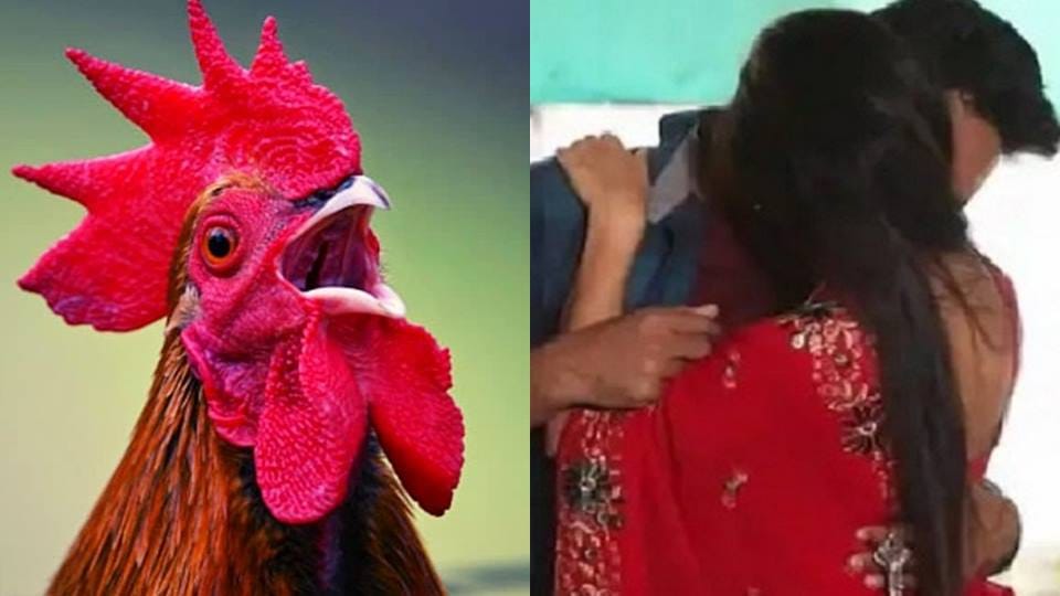 Cock exposed love affair of married woman In Rampur husbad told to in-laws to take daughter