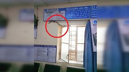 Snake enters SBI branch in Bareilly s Nawabganj