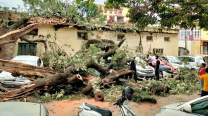 Himachal Weather Update : Trees uprooted, Cars damaged Rain and thunderstorm in sirmour and Bilaspur