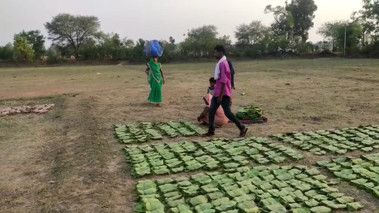 tendupatta collectors being charged five percent bad tax on every bundle in gpm