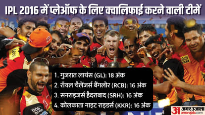 IPL 2023 How Sunrisers Hyderabad Won 2016 IPL Final After Playing in Eliminator