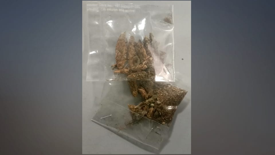 jammu city news:  Ganja smuggling 700 meters away from Trikuta Nagar police station jammu
