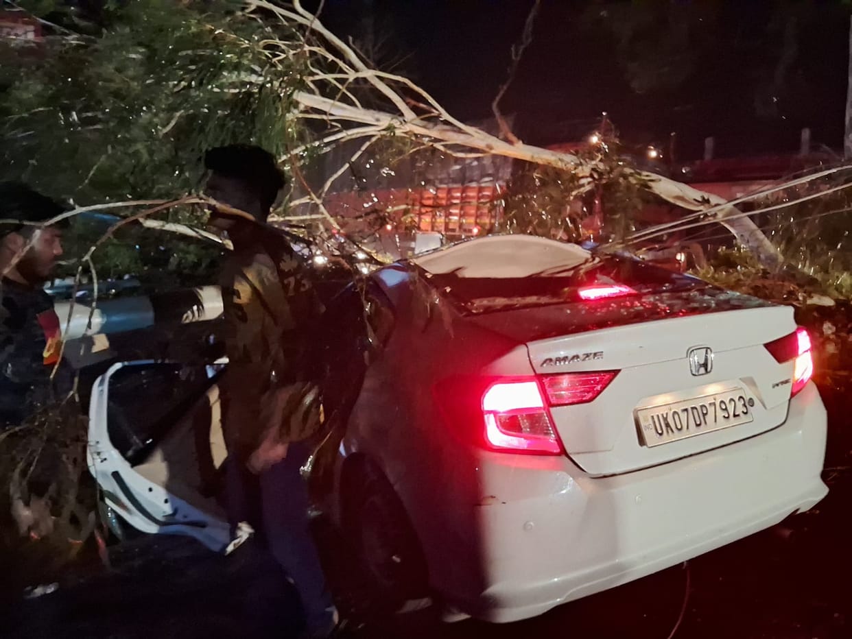 Uttarakhand Weather Many giant trees were uprooted in storm car rider lawyer died