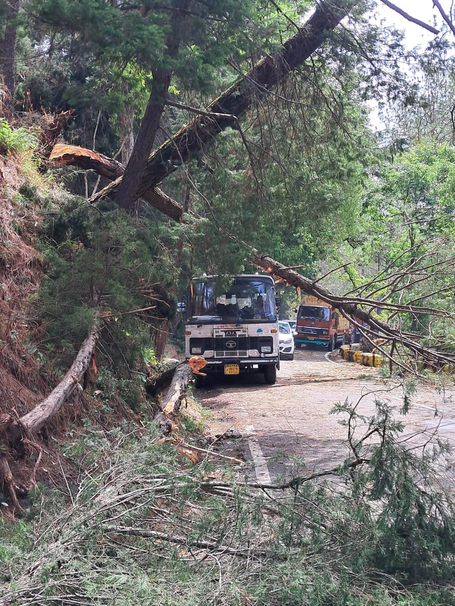 Uttarakhand Weather High Court advocate killed in storm accident captured in CCTV watch Photos