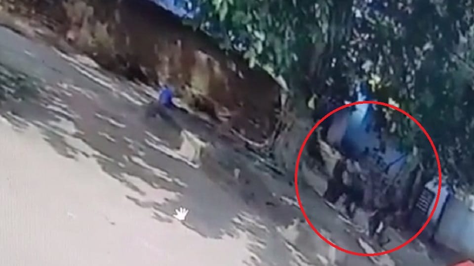 Jagdalpur A young man was stabbed to death on a minor issue