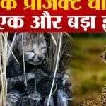 कूनो नेशनल पार्क