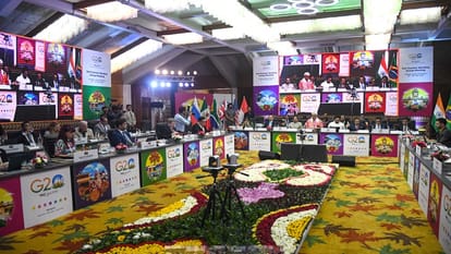 G20 meeting jammu kashmir: Representatives of G20 roam freely in Kashmir, shopping without fear