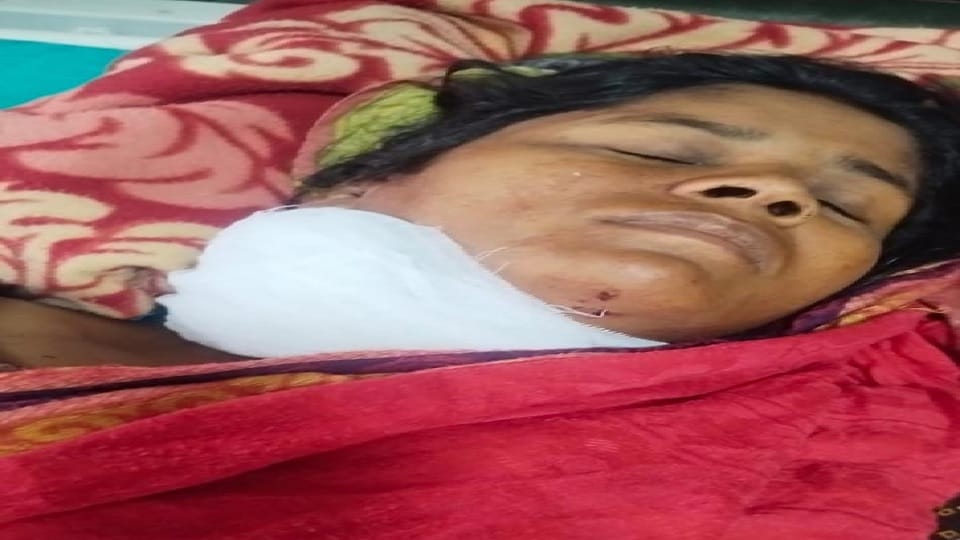 husband attacked his wife with ax on her neck In Fatehabad, woman referred to Agroha in critical condition