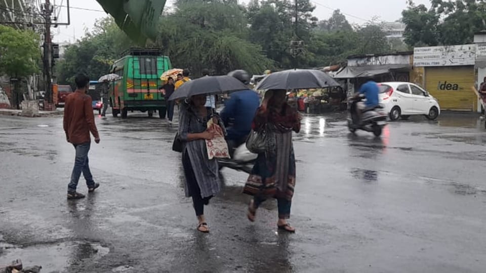 Jammu Kashmir Weather: Strong winds and rain continue four killed due to falling tree in Kishtwar
