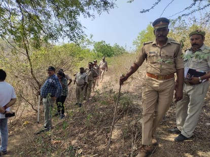 Sonebhadra: Leopard roaming in residential area, people in panic, forest department increased surveillance