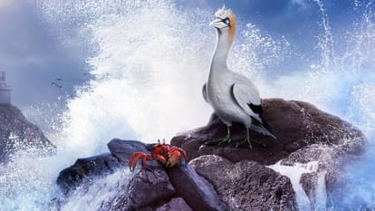 The Little Mermaid Review 2023 in Hindi Pankaj Shukla Walt Disney Rob Marshall Halle Bailey Awkwafina Melissa