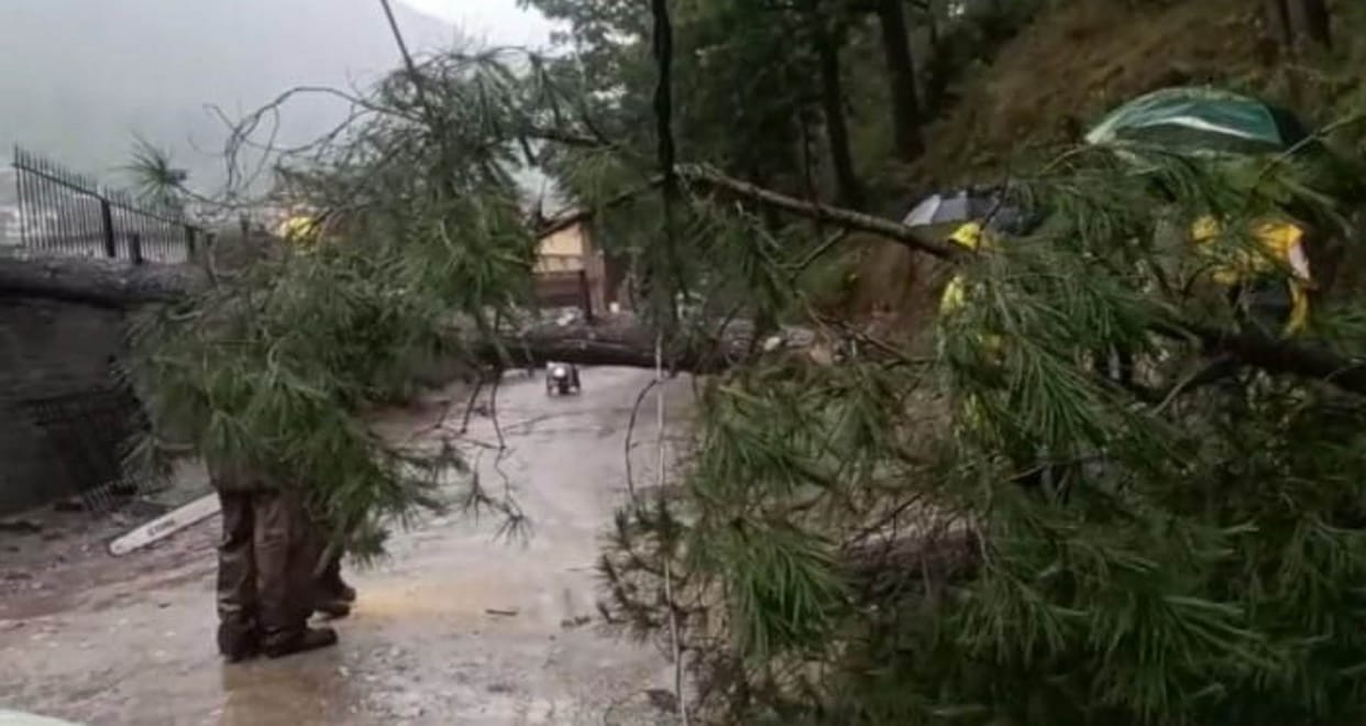 Weather Heavy rain and storm in Uttarakhand tree fell on hotel in Yamunotri woman died