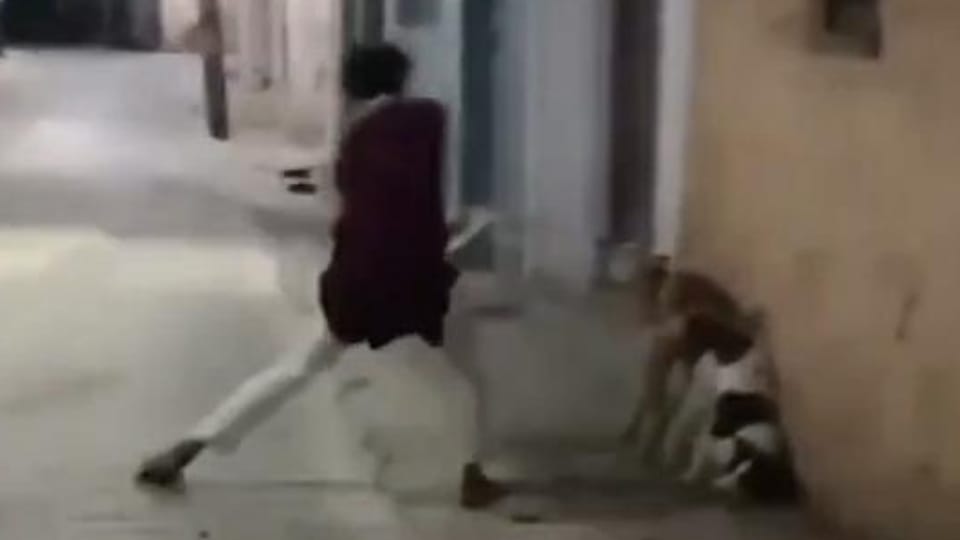 FIR filed against the man who beat stray dogs in Shahjahanpur