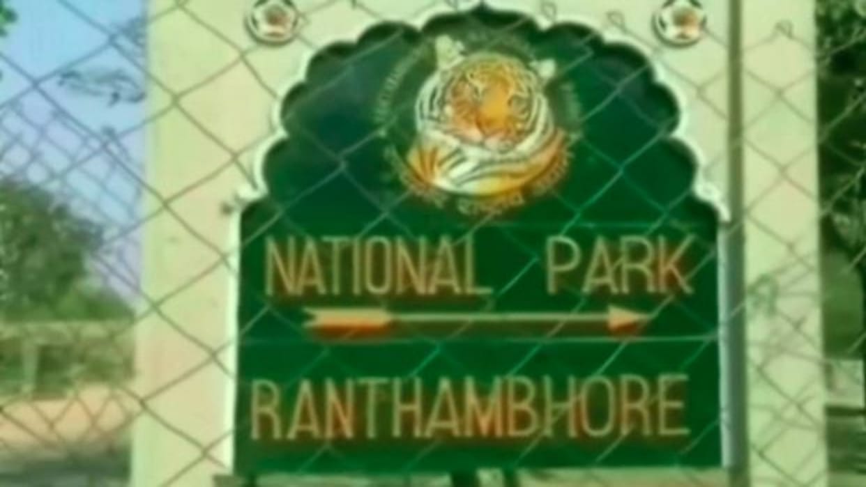 Sawai Madhopur Leopard attacked forest worker in Ranthambore Tiger Reserve