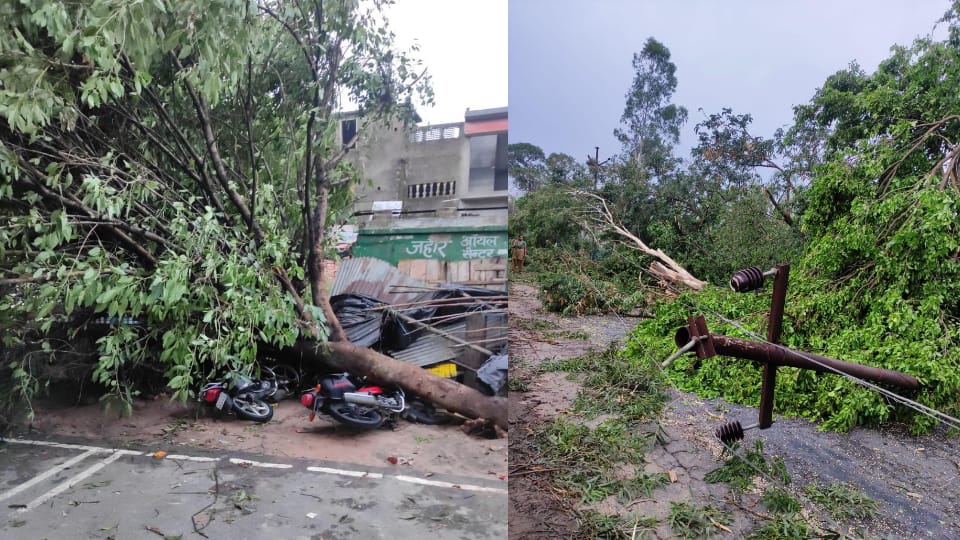 storm and rain in amroha Elderly died bikes damaged due to falling trees