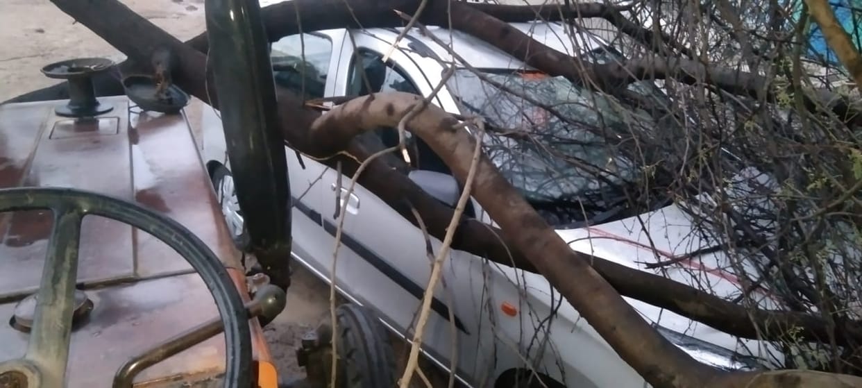 second day of Navtapa in Damoh, storm caused havoc, trees and electric poles were uprooted in many places.