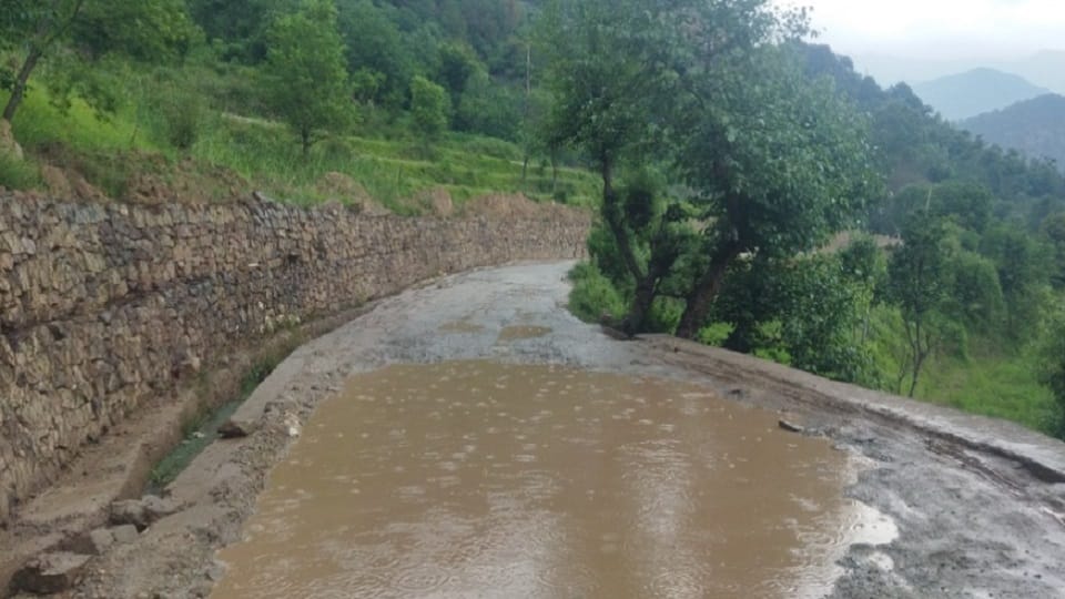 Four killed due to falling tree in Kishtwar, youth washed away in Poonch, hail fell in Kupwara