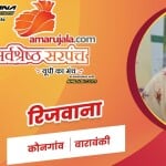 रिजवाना