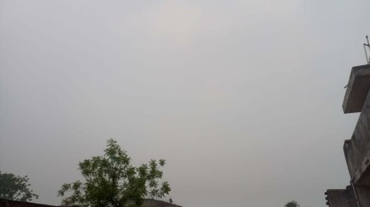 Mango crop has damaged due to storm and rain in western UP and now farmers are worried