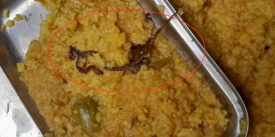 Bihar: Snake found in mid day meal, hundred children have eaten food Araria News