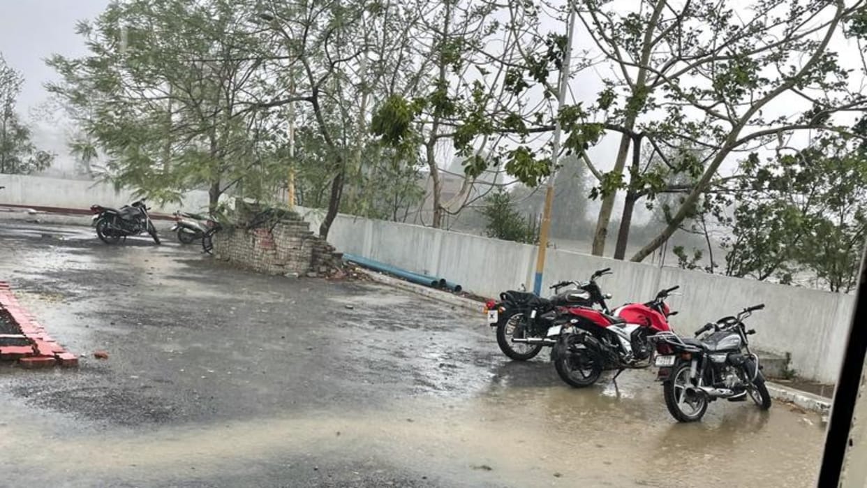 MP News: A woman going to farm died after a tree branch fell on her due to rain and storm in Damoh