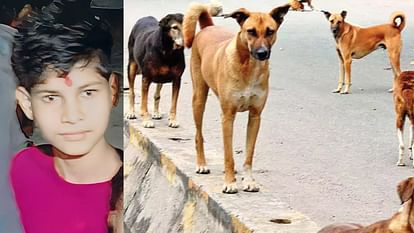 Innocent left the house after being stopped from using mobile, dogs scratched half his body in the forest