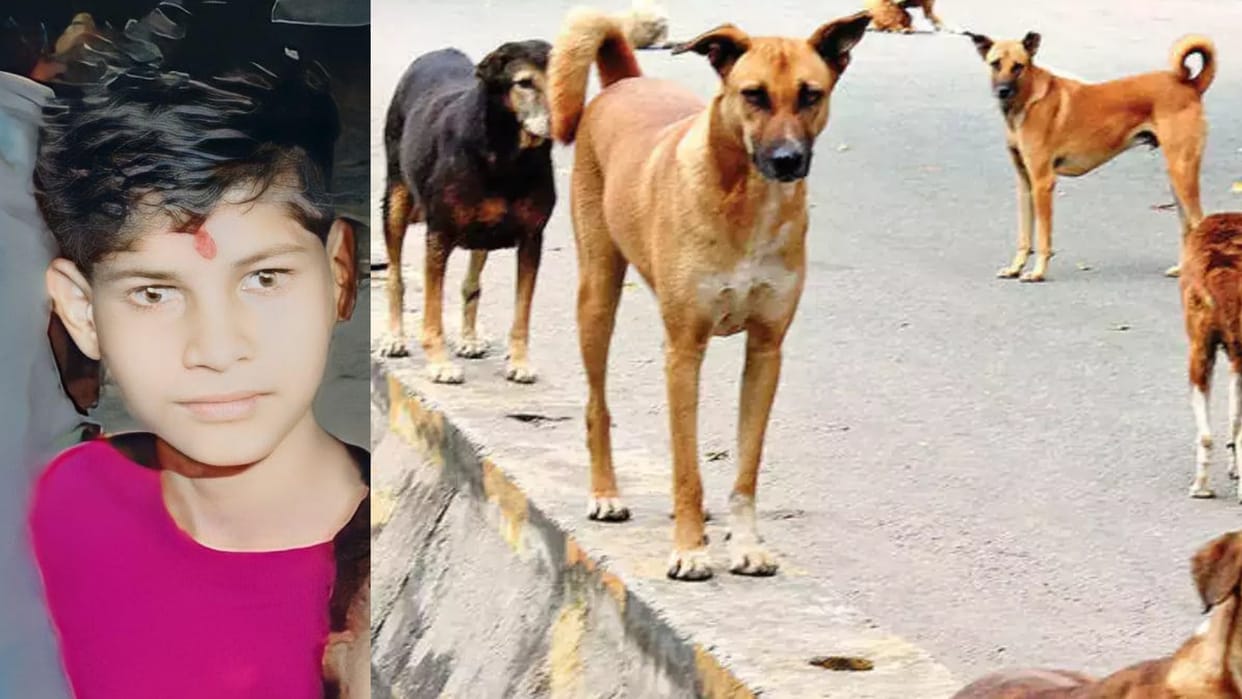 Innocent left the house after being stopped from using mobile, dogs scratched half his body in the forest