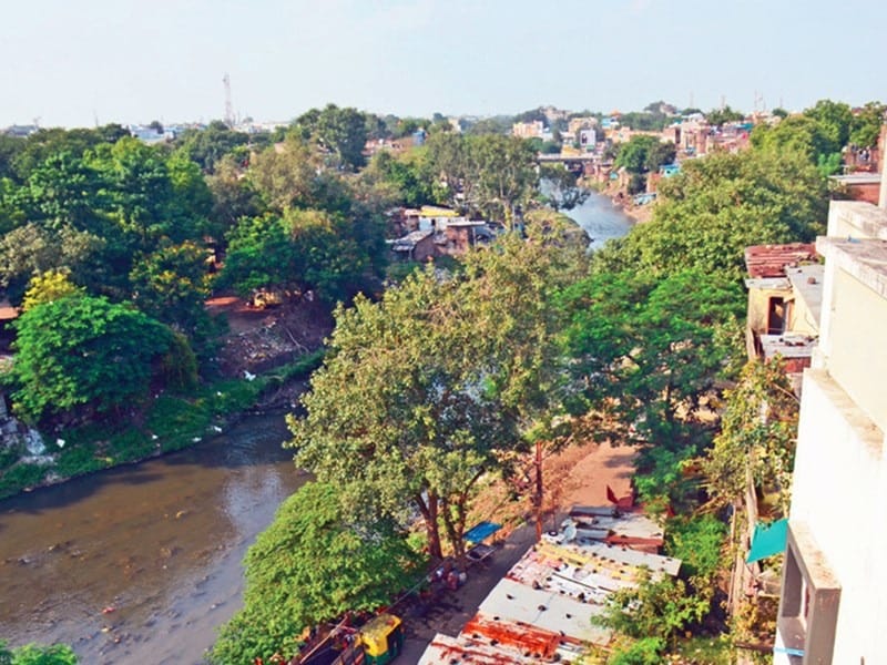 Greenery killers: The game of killing greenery in the guise of legalizing illegal colonies
