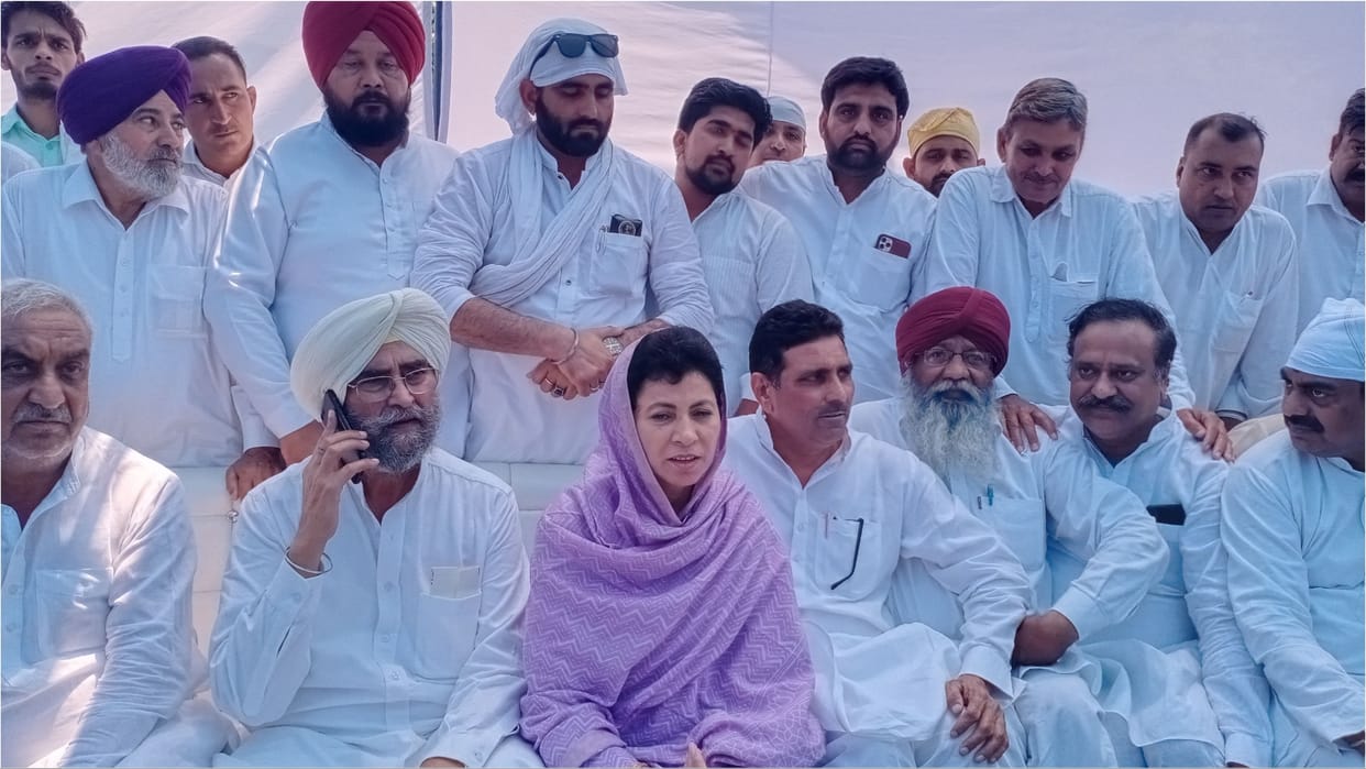 Congress will not declare anyone as the face of CM in the assembly elections said Selja