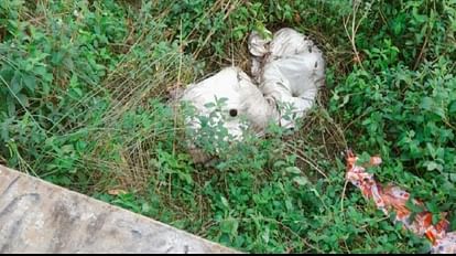 Agra: बंद बोरे में मिली लाश किसकी?, शोरूम के कैरी बैग से सुराग तलाश रही पुलिस Whose dead body was found in a closed sack Police is looking for clues from showroom's carry bag